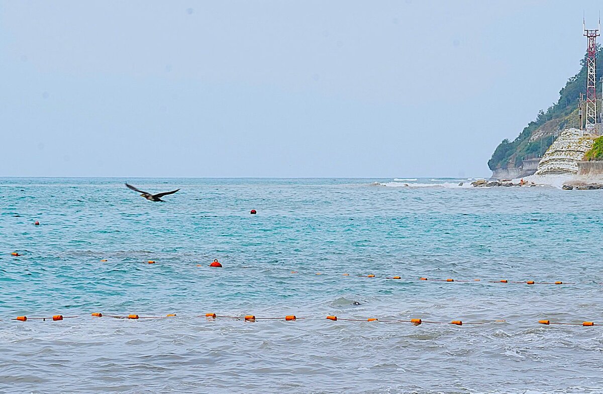 Над седой равниной моря... - Татьяна Тюменка