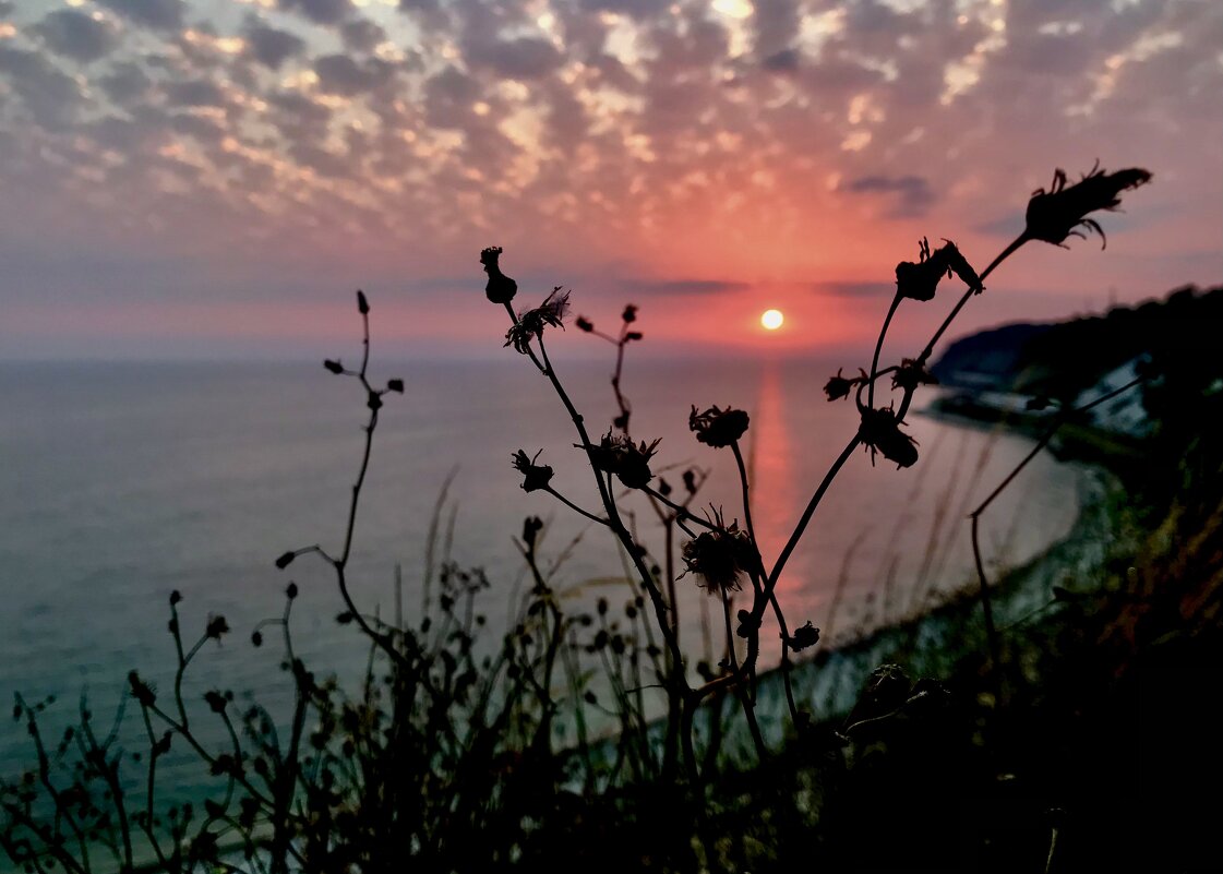 Закаты - Pippa 