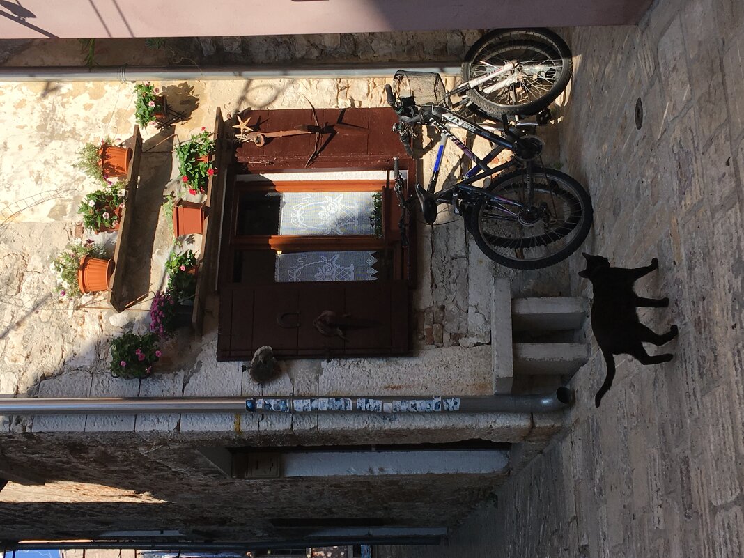 Вот такой натюрморт - Натали 