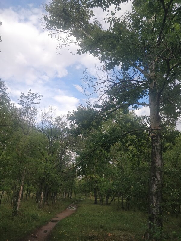 Дождик - Андрей Хлопонин Дождик - Андрей Хлопонин