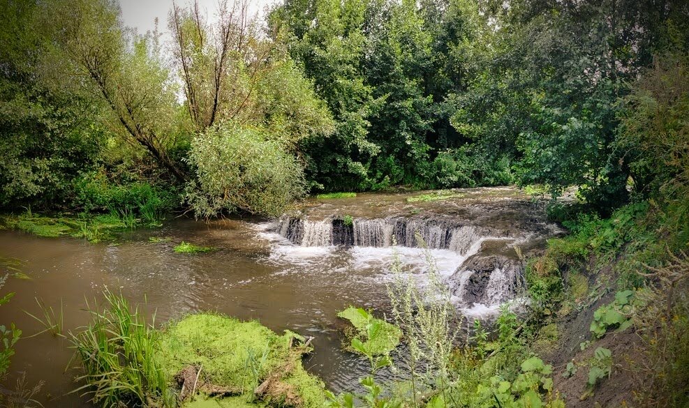Малые реки области - Олег Денисов