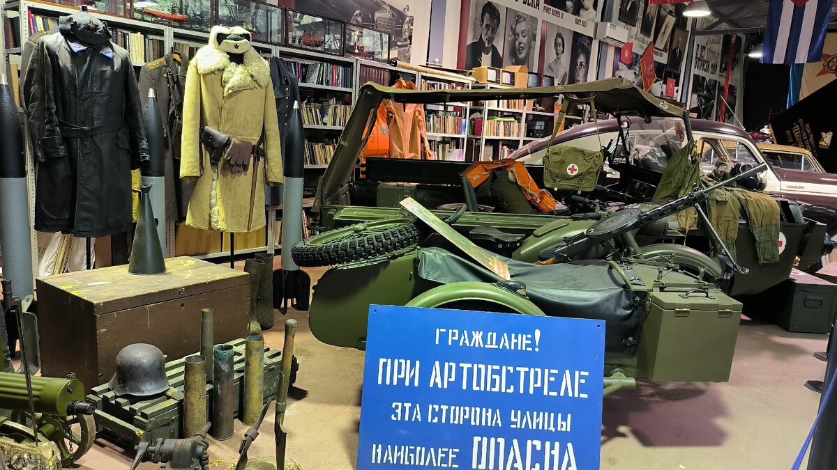 Зеленогорск. Музей "Лошадиная сила". - Ольга 