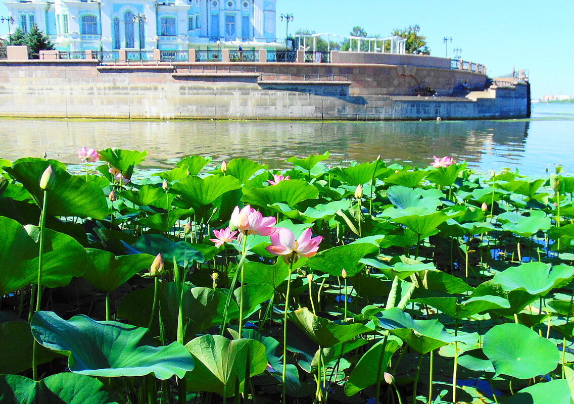 На Волжской стрелке - Александр Владимирович Никитенко