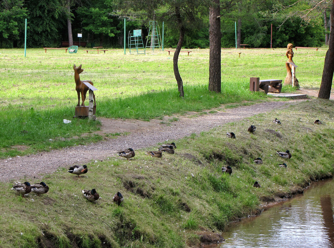 Тропа сказаний - Александр Ильчевский 