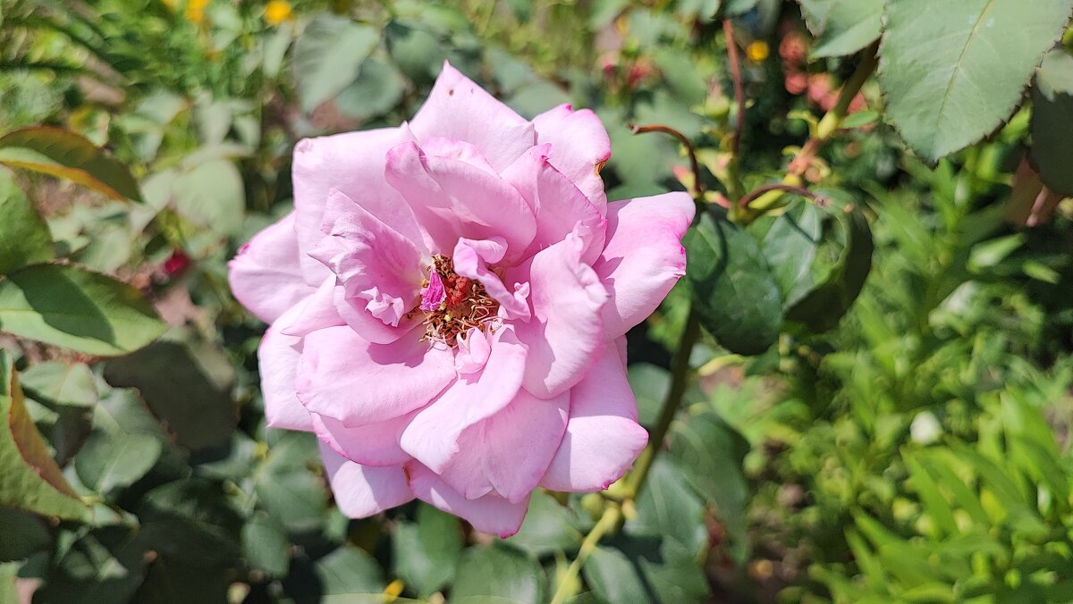 ,,,, - Сергей Тимоновский