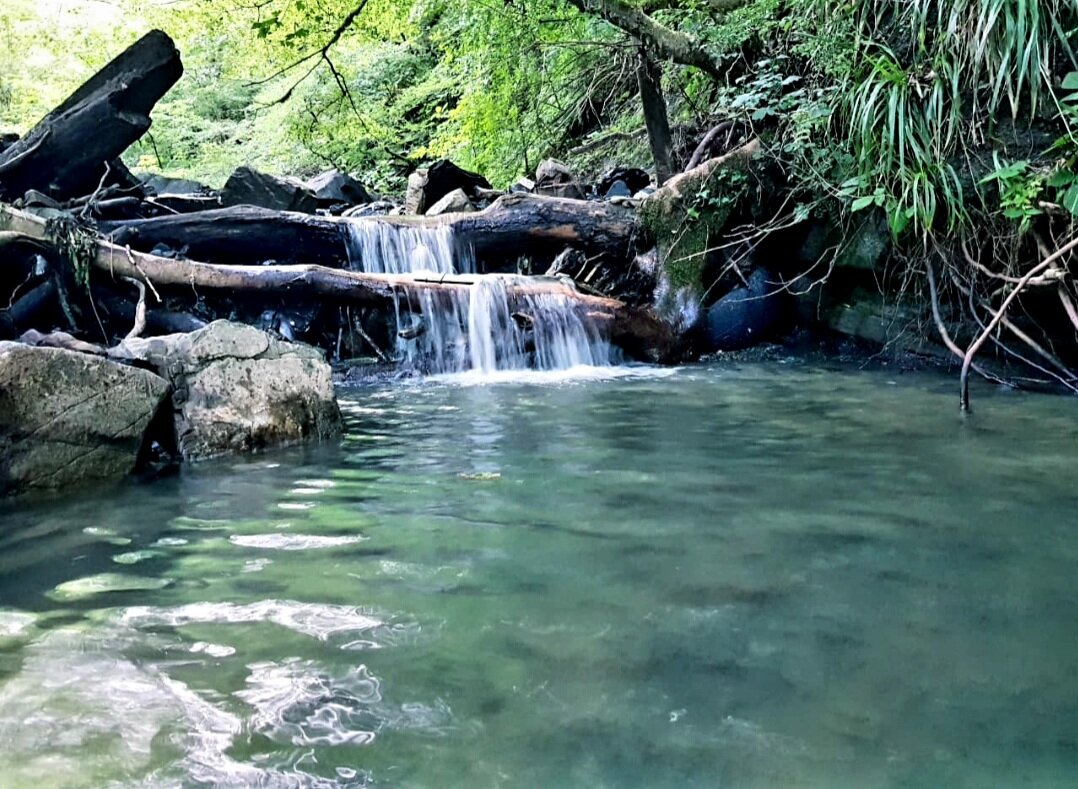 ГОРНАЯ РЕЧКА - Tata Wolf