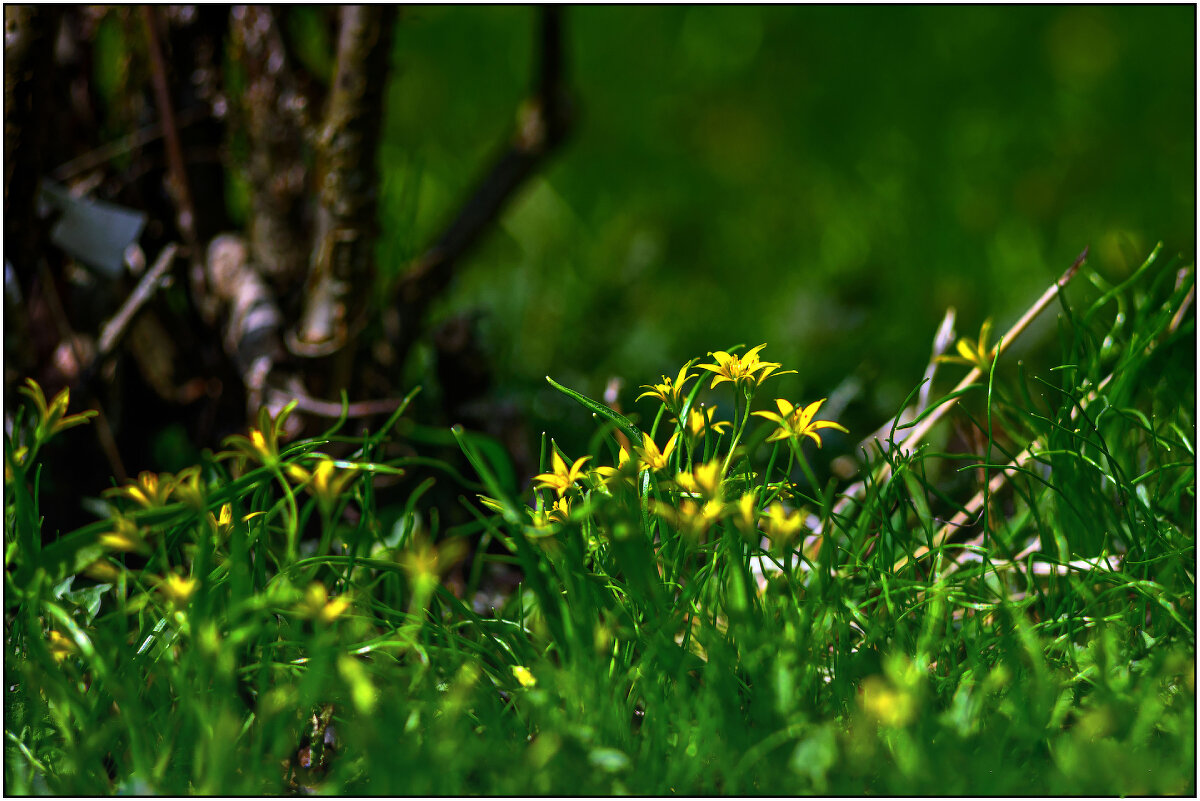 Маленькая компания) - Максим Сорокин