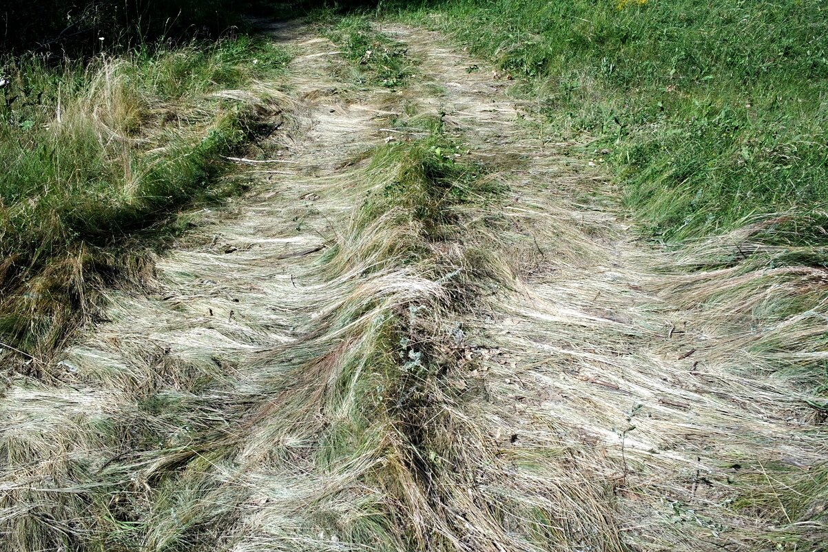 "волосатая" дорога - Aндрей Антонов