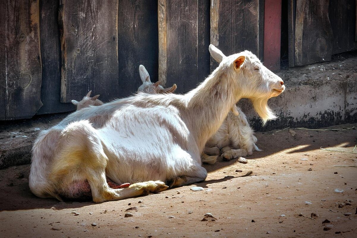 Жарко... ☼ - Глeб ПЛATOB