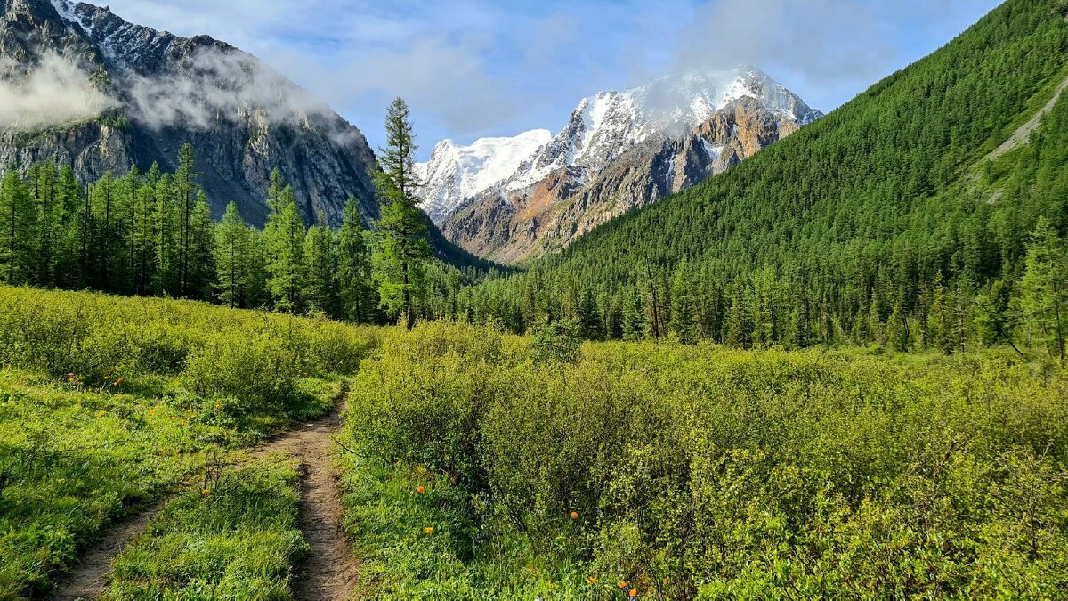 Тропинка - Виктор Фоменко Тропинка - Виктор Фоменко