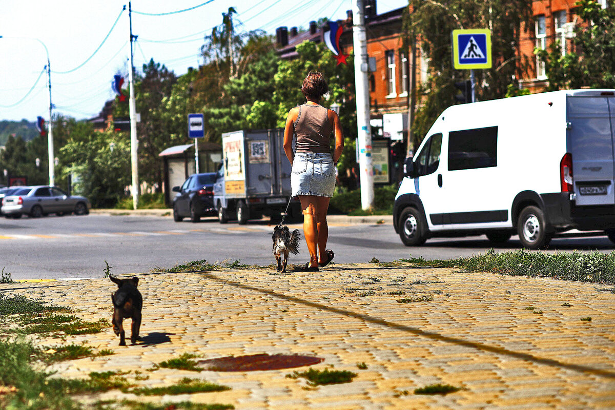 Ах, какая попна! - Юрий Гайворонскiий Ах, какая попна! - Юрий Гайворонскiий