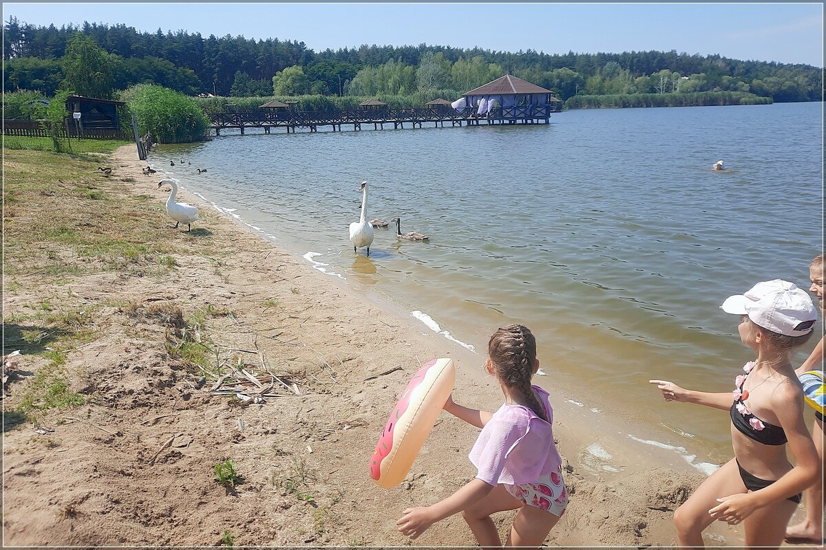 А они кусаются ? - Сеня Белгородский А они кусаются ? - Сеня Белгородский