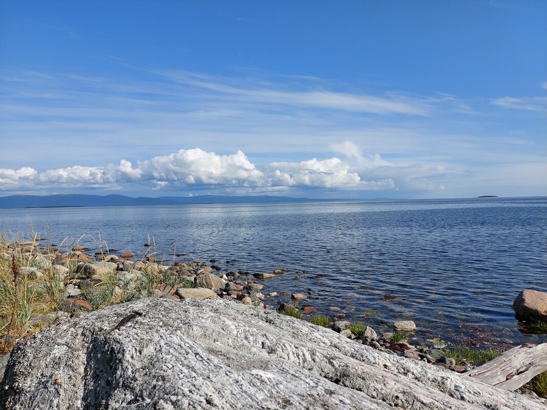 берег белого моря - Артём берег белого моря - Артём