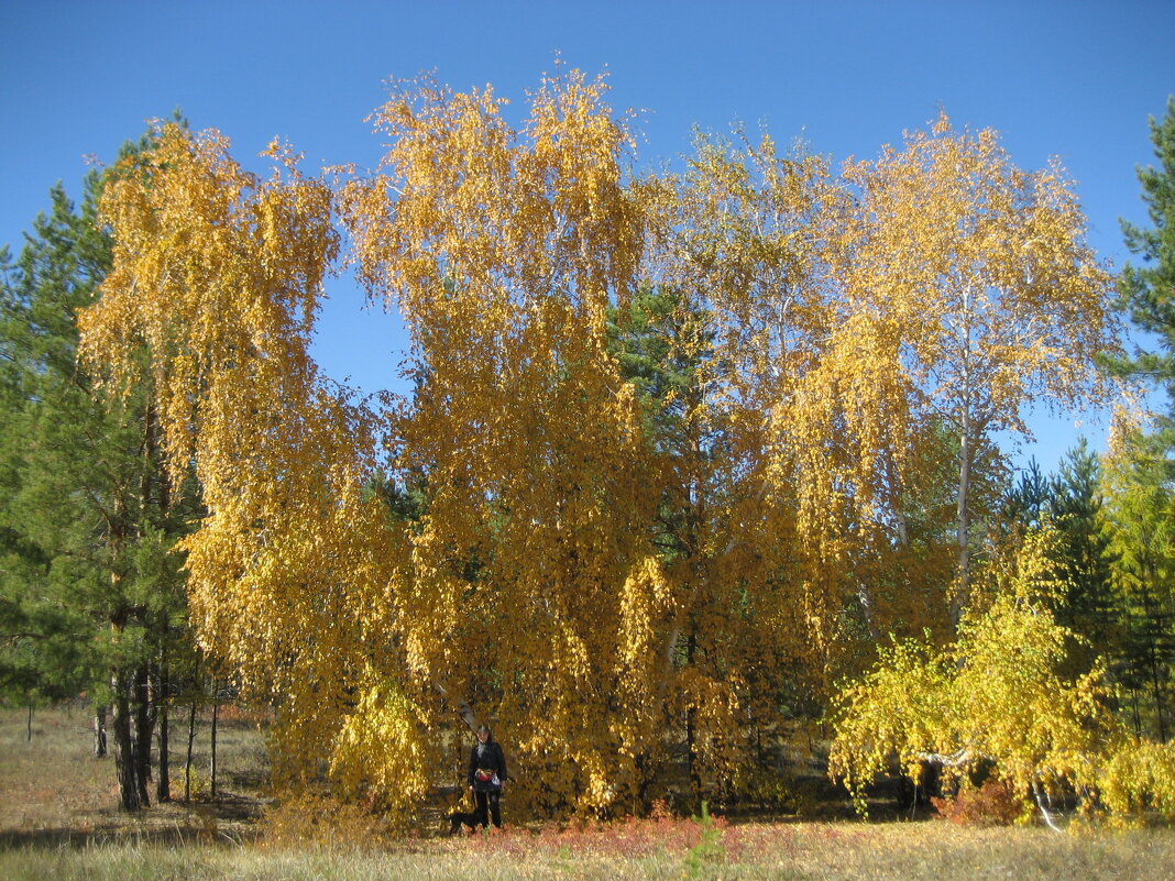 Осень - Anna Ivanova