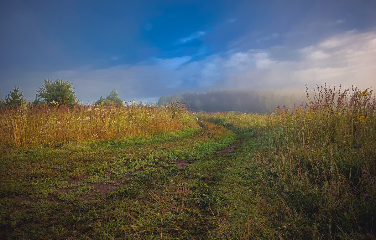 Летнее утро - Sergei Vikulov