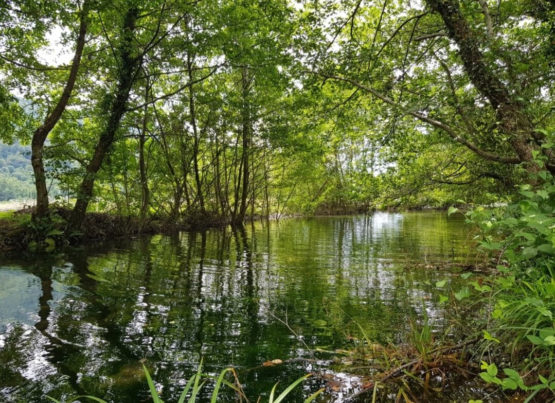 Горная речка - Tata Wolf