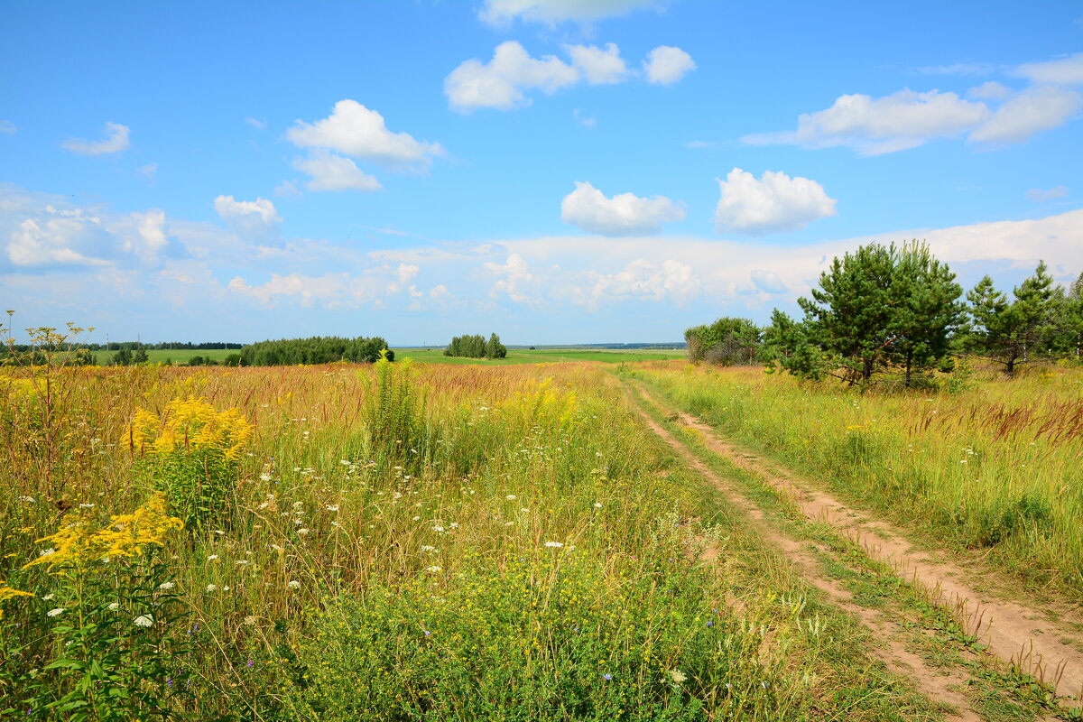Летний день. - Михаил Колосов 