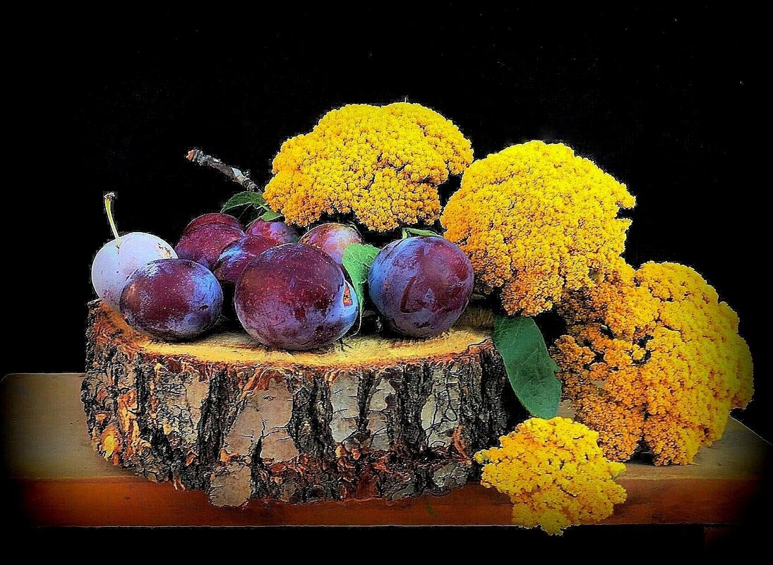 ..Август...сливы..и цветы - TAMARA КАДАНОВА ..Август...сливы..и цветы - TAMARA КАДАНОВА