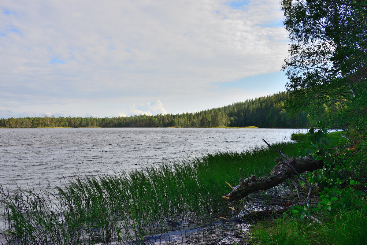 ** - Александр Хаецкий ** - Александр Хаецкий