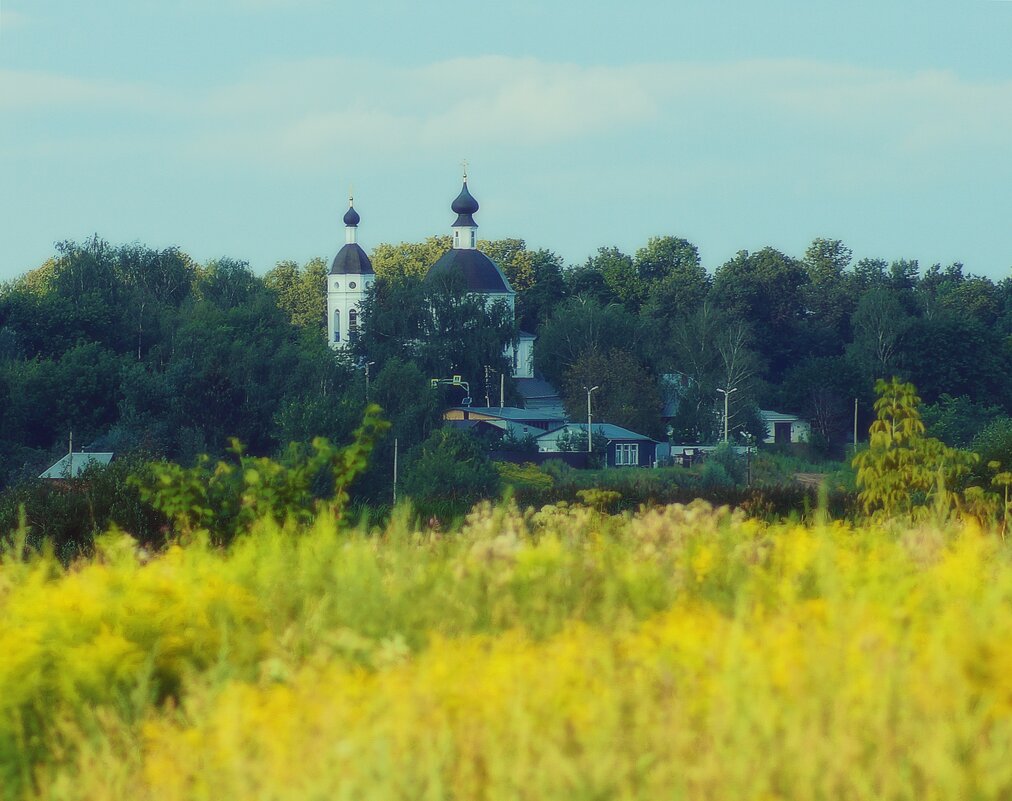 Церковь Рождества Пресвятой Богородицы в Образцово - Леонид leo