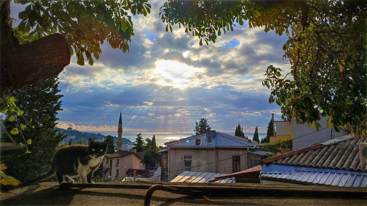 Прогулка по крышам Симеиза - AZ east3