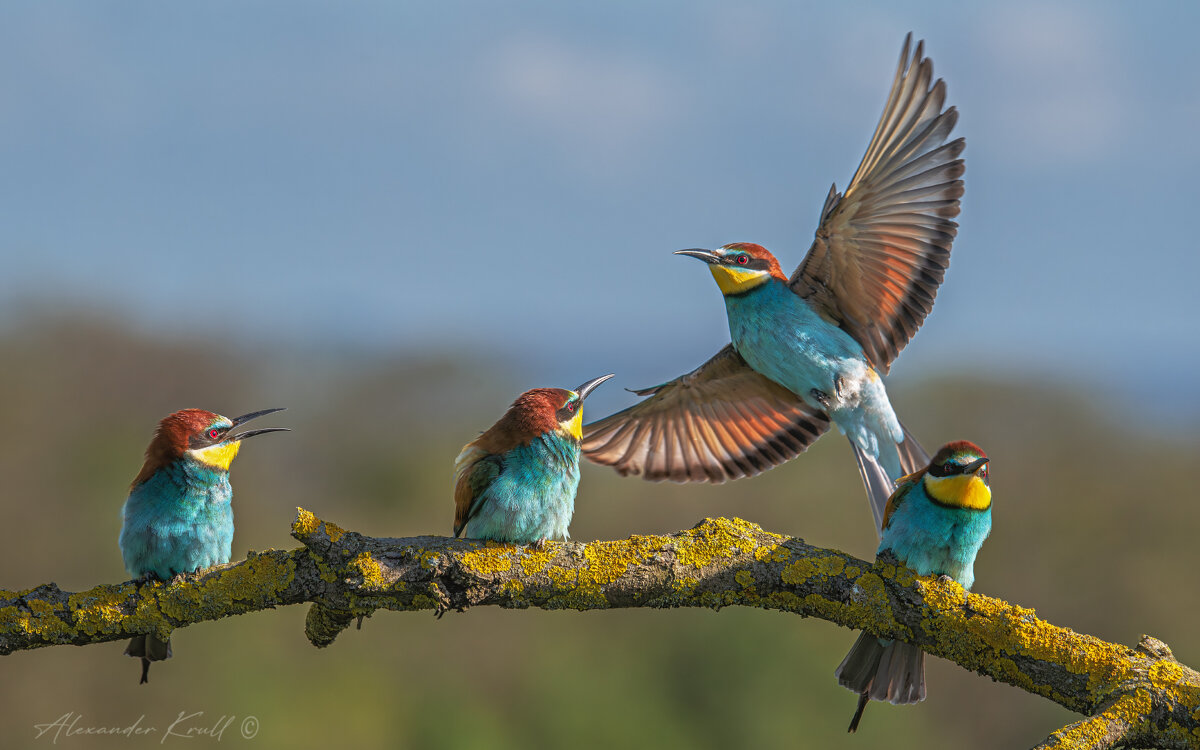 Мест нет! - Александр К. Мест нет! - Александр К.