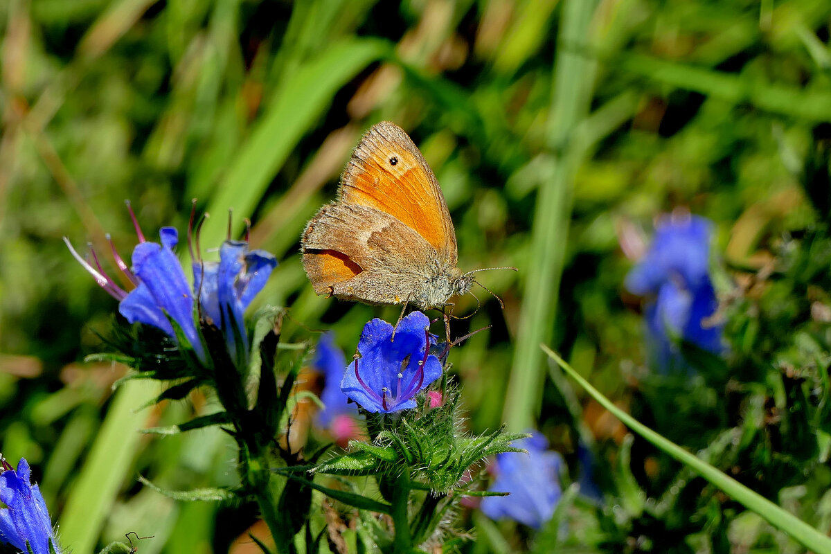 из снятого 1 августа 6 - Александр Прокудин