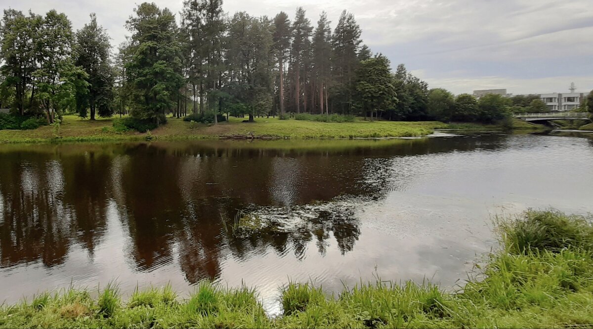 Царское Село. Баболовский парк - Наталья Герасимова