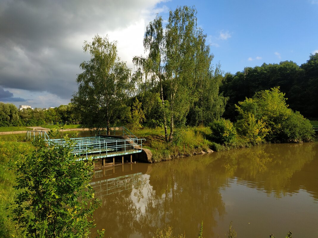 * * * - Андрей Лукьянов