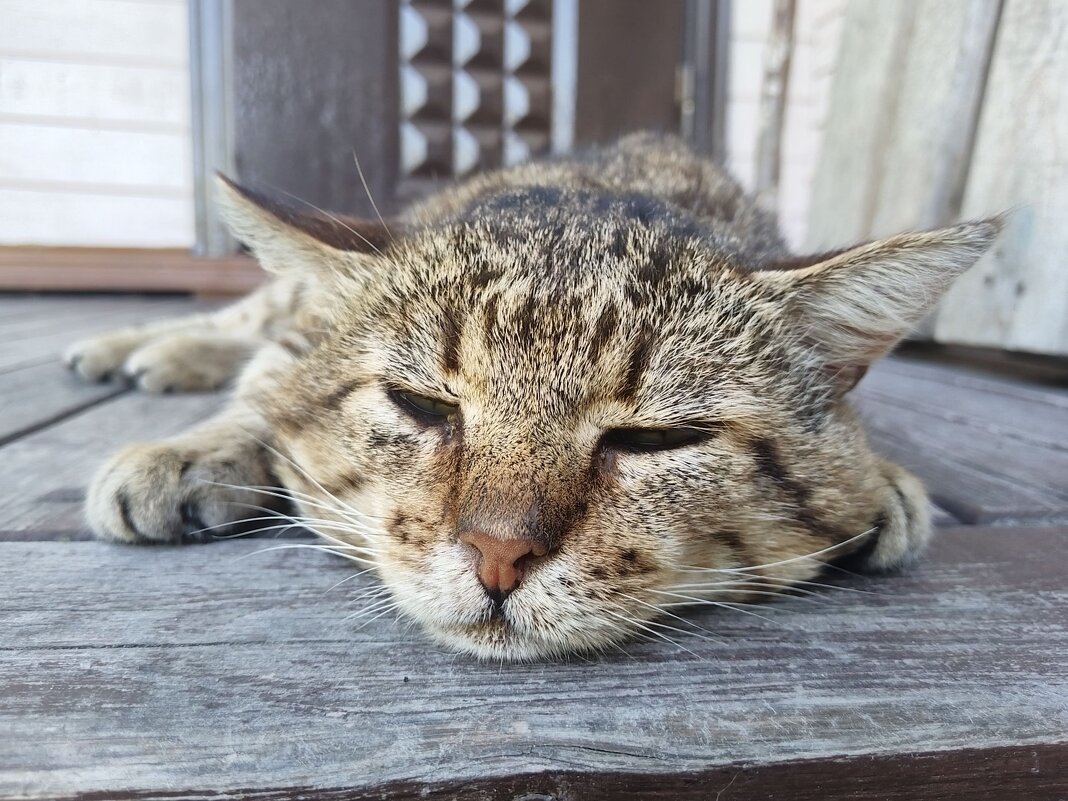 :Жарко всем... - Леонид Проурзин