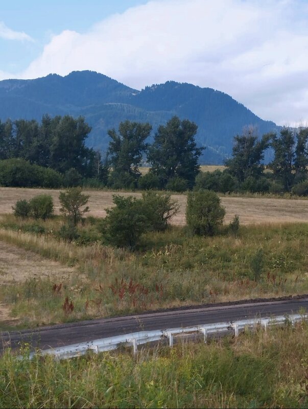 Talgar. - Murat Bukaev 