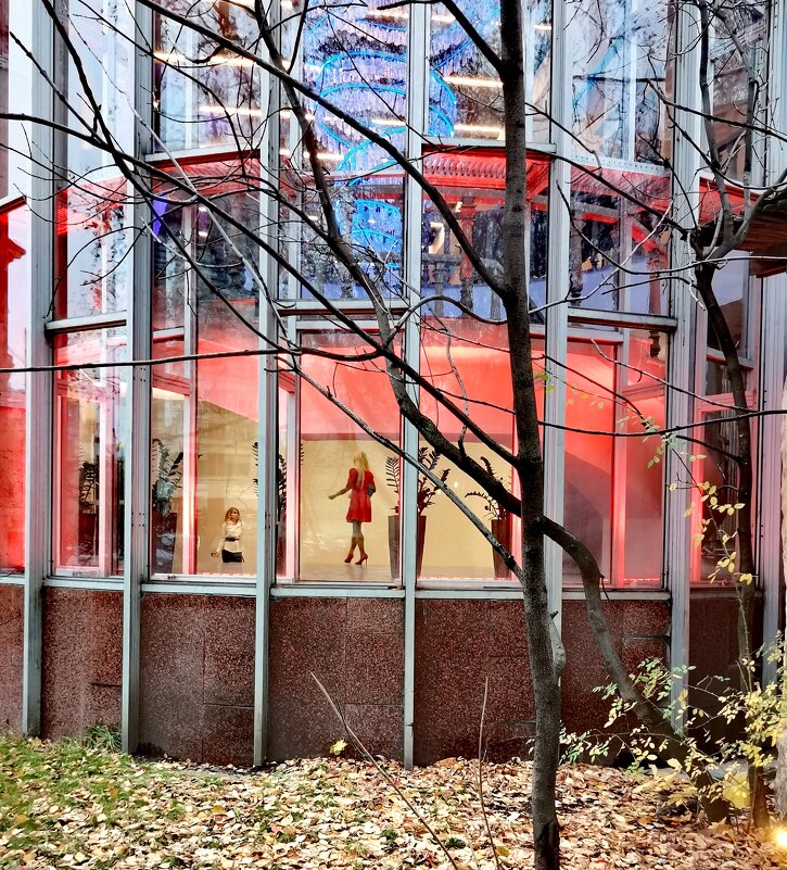 Девушка в красном - Любимова Ольга 