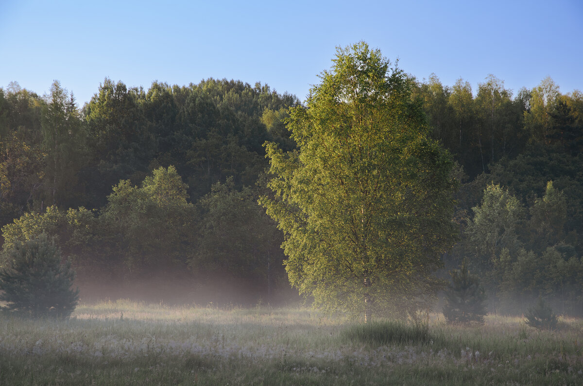 Утро - Валерий Пославский