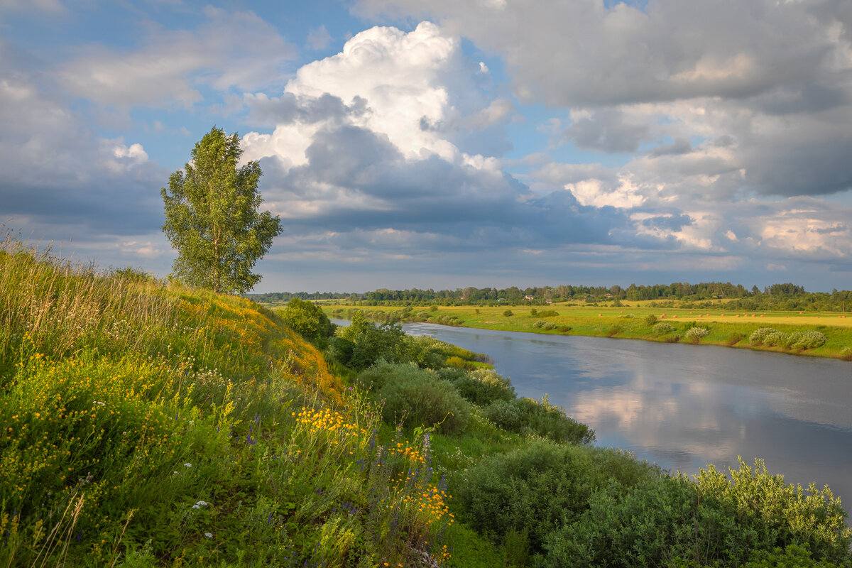 **** - Елизавета .