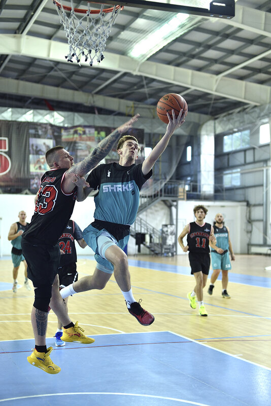 Великая игра! - Александр Гриднев