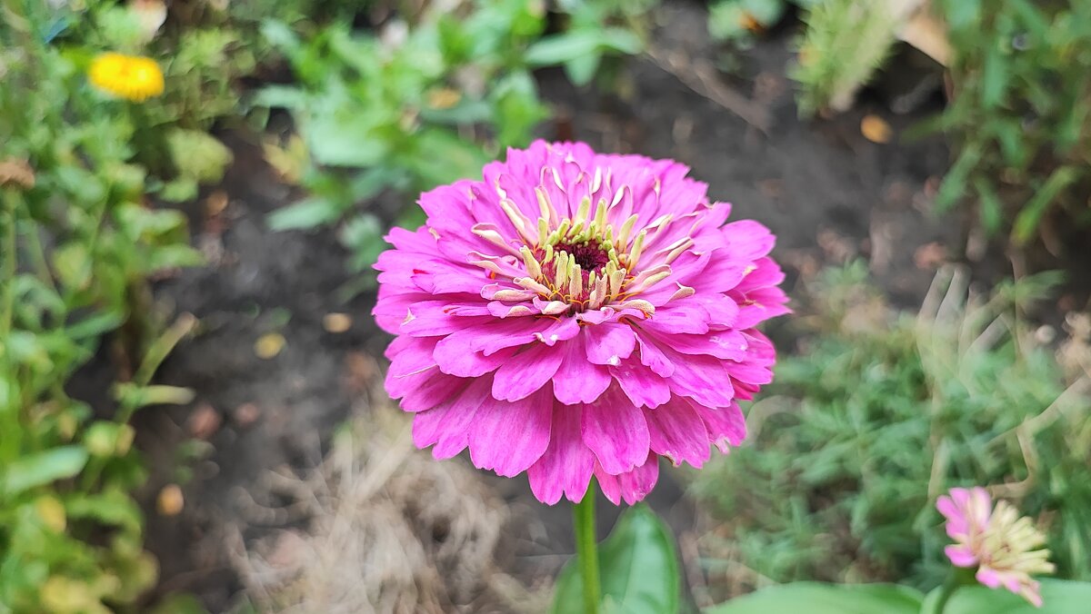 ,,, - Сергей Тимоновский ,,, - Сергей Тимоновский