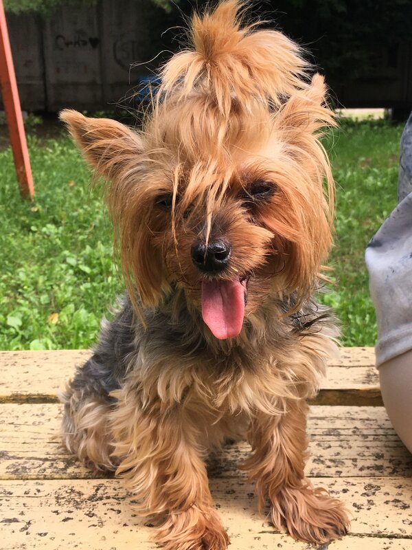 Привет! - Владимир Павлов