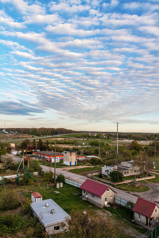 Пионерский - Дмитрий 