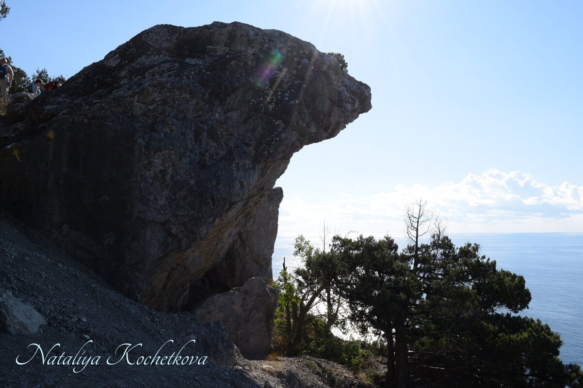 Природа Крыма - Amazing Cosmea