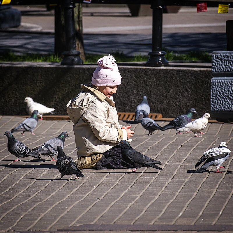 Девочка и голуби. - Александр 