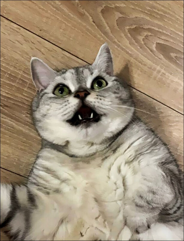 Я же просил - не беспокойте меня...! - Надежда Я же просил - не беспокойте меня...! - Надежда