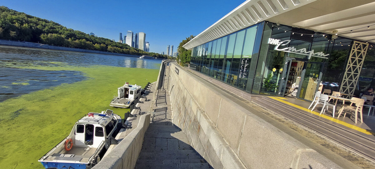 Лужнецкая набережная кафе "Старт" - Денис Масленников