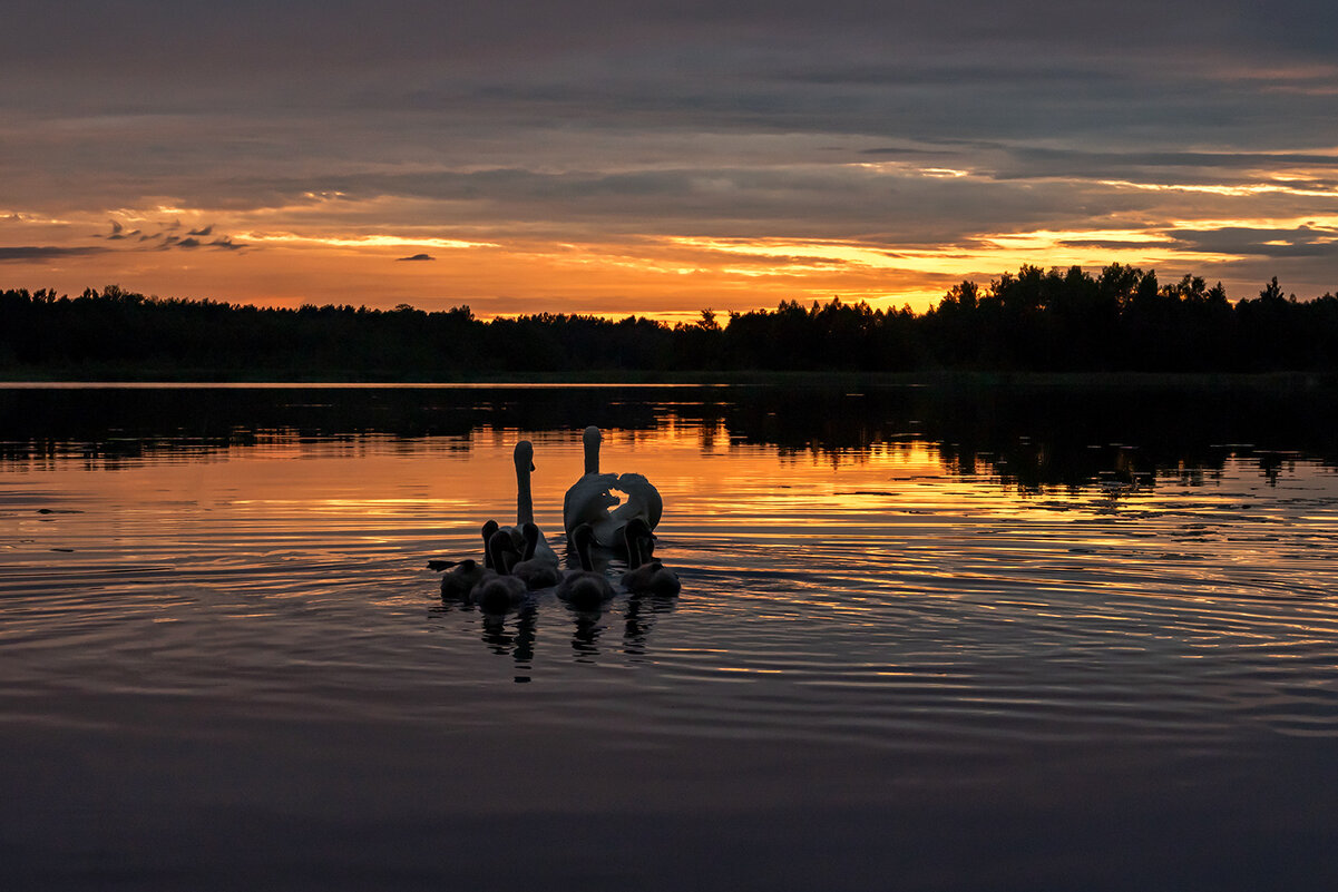 Закат... - Виктор Желенговский Закат... - Виктор Желенговский