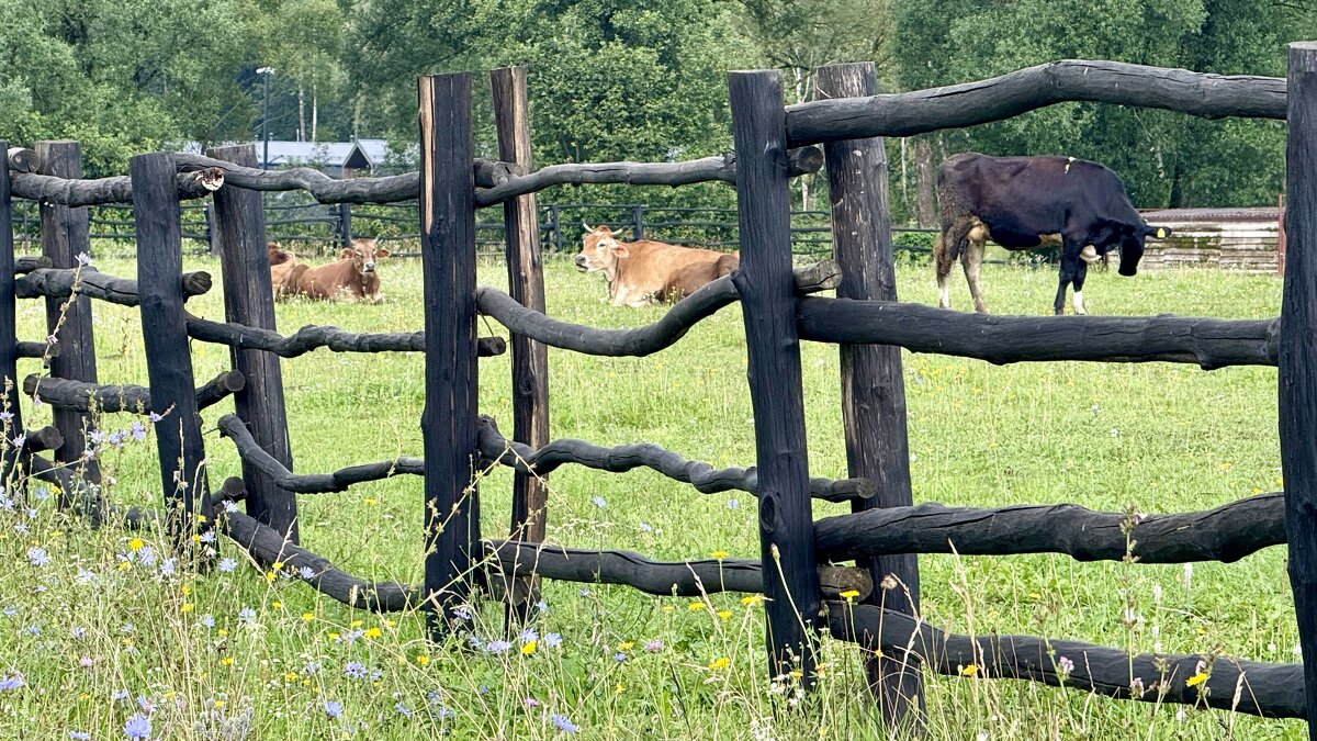 «По проселочной дороге шла я молча…» (c) - Арина Невская «По проселочной дороге шла я молча…» (c) - Арина Невская