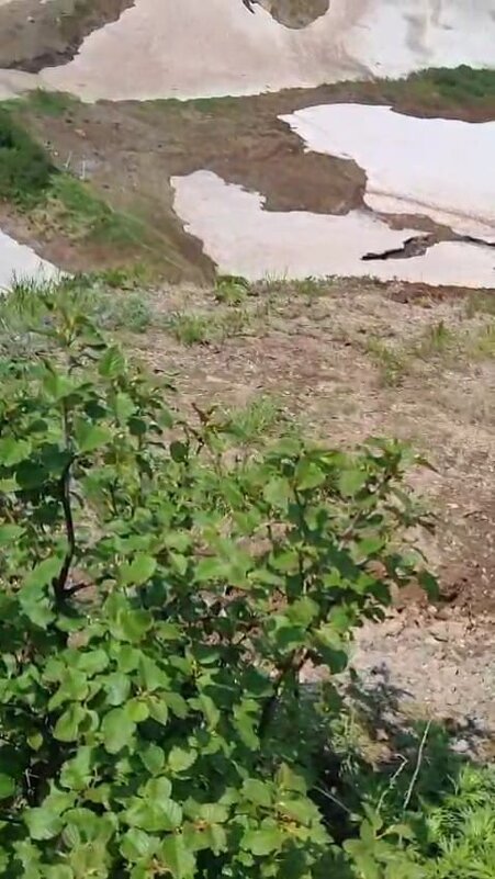 Камчатка - Ирэн 