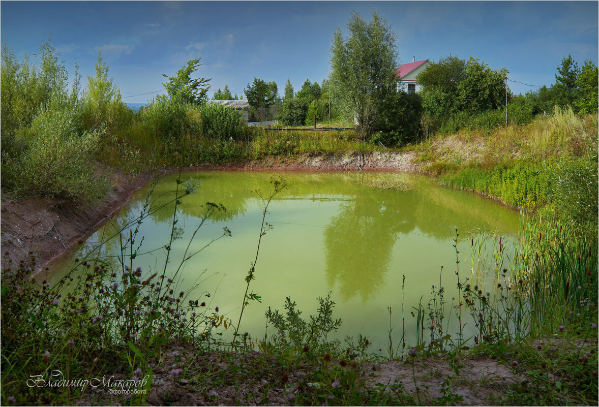 "Жаркий август у водоема"© - Владимир Макаров