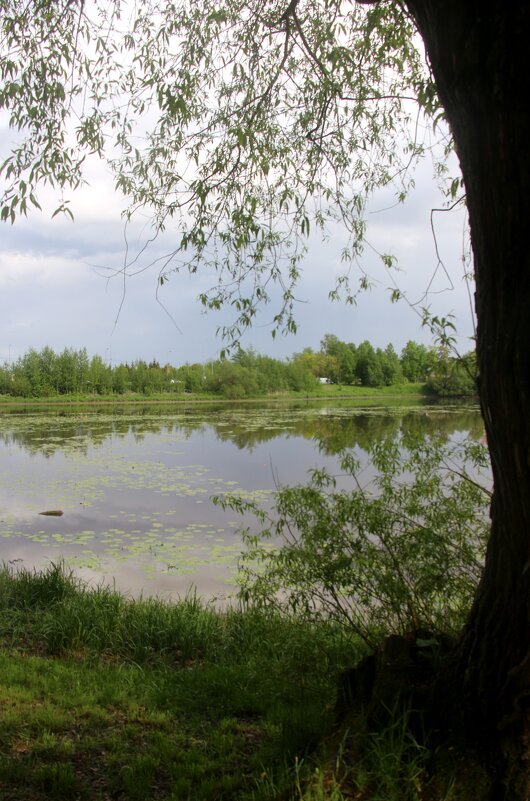 Орловский парк - Наталья Герасимова