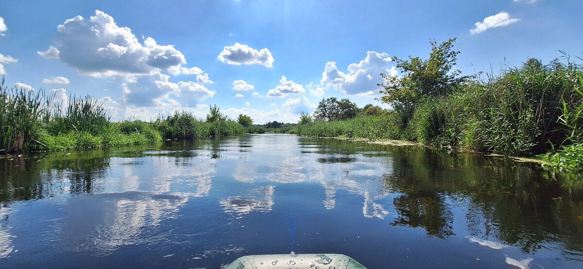 . - Сергей Асташонок