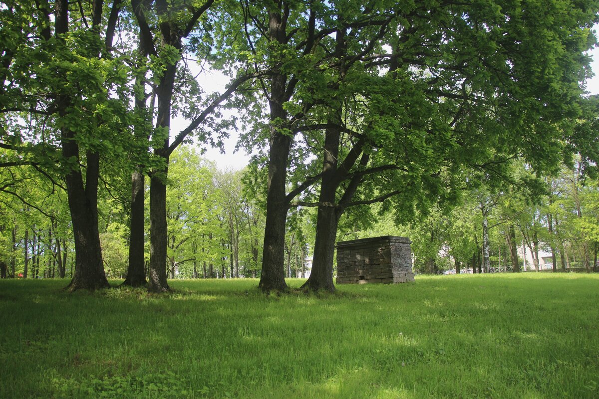 Орловский парк - Наталья Герасимова Орловский парк - Наталья Герасимова