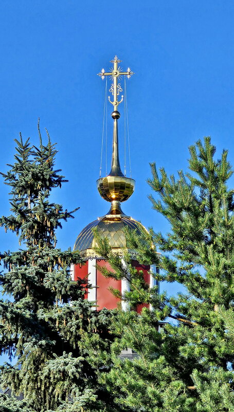 Суздаль. Купола. - Михаил Свиденцов Суздаль. Купола. - Михаил Свиденцов